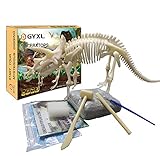 GYXL Dinosaur Fossil dig Toys, DIY Dinosaur Toys, Dino Dig Kit, Kids Science Education Dinosaur Fossil Assembly Kit, Best Boys and Girls STEM Dig Dinosaur Toys Gift.(Triceratops)