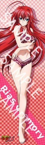 High School D ~ D NEW Long flexible poster Rias Gremory