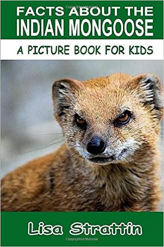 Facts About The Indian Mongoose A Picture Book For Kids Strattin Lisa Amazon Com Books