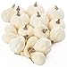 Factory Direct Craft Set of 16 Assorted Harvest Off White Faux Gourds and Pumpkins for Halloween, Fall and Thanksgiving Decorating for Halloween, Fall and Thanksgiving Decorating