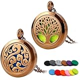 RoyAroma 2PCS Chocolate Color Aromatherapy Essential Oil Diffuser Necklace Pendant Locket Jewelry, 24