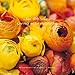 Living with Flowers by 