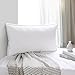 AOOU Pillows For Sleeping, Spring Pillow Antibacterial Ergonomic Pillow for Relieving Neck Back Pain, Breathable, With 40 Spring Pockets Inside Brace and Springback, Skin-friendly Fabrics, White