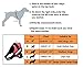 Fairwin Service In Training Dog Vest Harness, Dog Reflective Vest with IN TRAINING Patches for Large Medium Small Dogs …