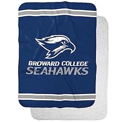 Broward College Primary Logo Stripes Sherpa
