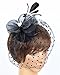 Fascinator on Hairclip for Women Mesh Feather A-Black