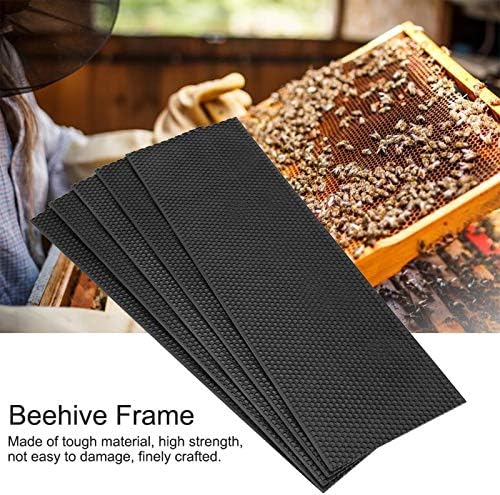 DiLi - Store Beekeeping Tools - Auto Honey Beehive Frames Beekeeping Kit Bee Hive King Box Pollination Box Beekeeping Tools 42.5x21cm / 42.5x14cm 1 PCs
