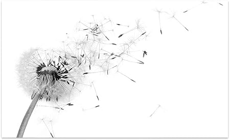 Grazdesign Bilder Glas Wohnzimmer Wandbilder Glas Als Notiztafel Glas Bilder Schwarz Weiss Glasbilder Pusteblume 60x40cm Amazon De Kuche Haushalt