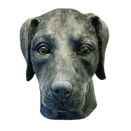 Black-Labrador-Retriever-Dog-Costume-Face-Mask-Off-the-Wall-Toys-Kennel-Club