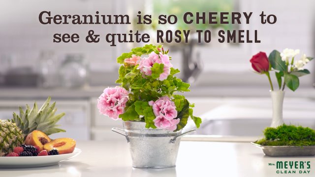 Mrs. Meyer's Clean Day's Hand Soap, Made with Essential Oils, Biodegradable Formula, Geranium, 12.5 fl. oz - Pack of 3 - Image 8