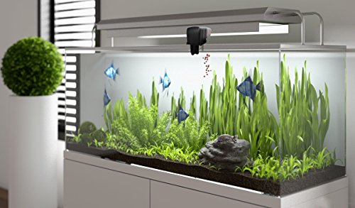 6 PROCHE+Automatic+Dispenser+Batteries+PRO+X