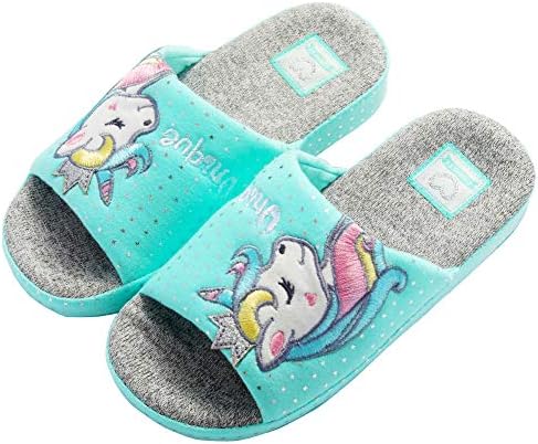 kids blue slippers