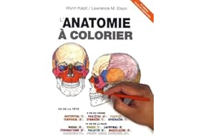 L'anatomie À Colorier