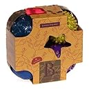 B. Oddballs - Pack of 4 Sensory Balls by B. Toys