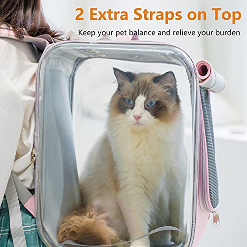 petseek cat backpack