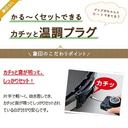 1 ZOJIRUSHI+plate+roast+perforated+EA+GR25+TD