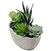 MyGift Decorative Artificial Succulent Plant Arrangement with Oval Gray Pot