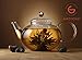 GROSCHE MONACO 42 oz Glass Tea pot with glass tea Infuser 1250 ml Capacity. Heatproof borosilicate glass and all glass tea infuser for all types of loose tea tea infusion