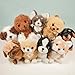 Papusu! Stuffed toy Shiba Inu (japan import)
