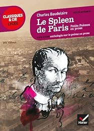 Le  spleen de Paris