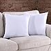 Homelike Moment 20x20 Feather Down Pillow Throw Pillow Insert Square Couch Pillow Inserts Set of 2 20 x 20 in