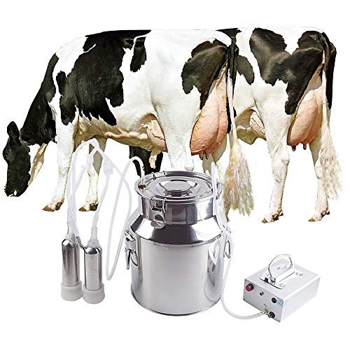 Futt Single Bucket Piston Vacuum Ultra-Strong Frequency Pulsation Milking Machine for Cows Cattle or Sheep Optional (14L, Cow) (Best Milking Machine In India)