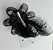 Coolr Fascinators Hair Clip Headband Feather Flower Veil Wedding Headwear Bridal 1920s Headpiece, A Black, One Size