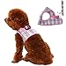 Soft Mesh Small Dog Harness with Leash Set - Basic Plaid Padded Chest Vest for Kitties, Puppy, Small Pets