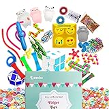 The Master Silent Sensory Fidget Toys for Classroom Classic 23 Pack Stress Relief and Anti-Anxiety for Kids and Adults Fidget Infinity Cube, Squeeze Balls, Soybean Squeeze, Flippy Chain & More