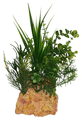 Rock Garden Natural Green Plant with Tufa Rock Base, 12"