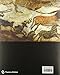 The Splendour of Lascaux /anglais