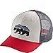 Patagonia Fitz Roy Bear Trucker Hat - White