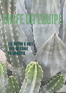 Livro Chefe da equipe - P2