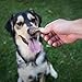 KONA'S CHIPS Beef Bites Dog Treats 12 oz, Beef Treats for Dogs