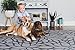 Premium Stylish Foam Floor Mat | Cushy-Soft & Thick | Waterproof, Easy-to-Clean, Hypoallergenic, Non-Toxic, Pet-Friendly, Portable | Baby Play Mat, Yoga Mat, Exercise Mat - Large Grey Botanical Garden