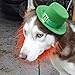 FOMATE Green Hat Costumes for Saint Patrick's Day (Dog)
