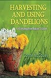 Harvesting And Using Dandelions: For Everything From Medicine To Lotions by Connie McCauley