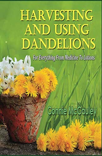 Harvesting And Using Dandelions: For Everything From Medicine To Lotions by Connie McCauley