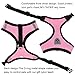 INVENHO Mesh Harness with Padded Vest for Puppy and Cats No Choke Design Ventilation Gift with Leash(Small,Pink)