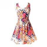 Daxin Women's Floral Chiffon Sleeveless Sundress Summer Tank Mini Dress Small