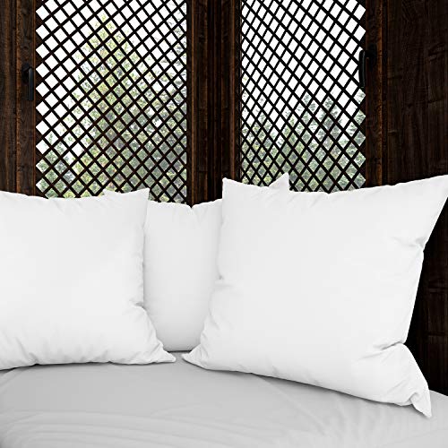 Hannah Linen Throw Pillows 16x16 Pillow Inserts Set of 4 Throw