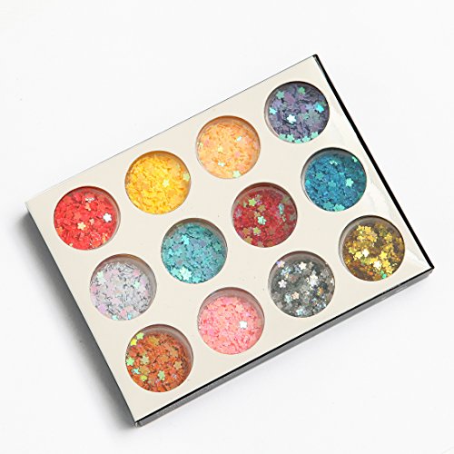 DIY 12 Colors 2 Sets 24 Jars of Flower & Star Iridescent Glitter Sequins Spangle for Nail Art Tip Deco Crafts Project
