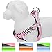Blueberry Pet 4 Colors Soft & Comfortable 3M Reflective Step-in Pastel Color Paddd Dog Harness, Chest Girth 15.5