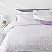 Amazon Basics 3 Piece Lightweight Microfiber Duvet Cover Set with Snap Buttons, Full/Queen, Solid, Lavender Paisley