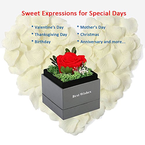 Handmade Preserved Flower Rose - Preserved Fresh Flower Eternity Rose, Never Withered Real Rose, Gift for Valentine's Day, Mother's Day, Thanksgiving Day, Christmas, Birthday, Anniversary (Red) - Thumbnail 3