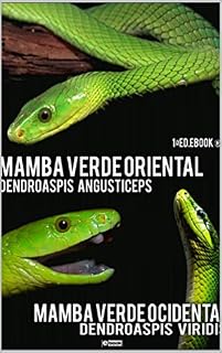Livro Ebook Mamba Verde 1ª E