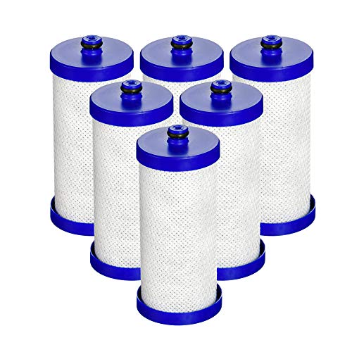 AQUACREST Replacement Refrigerator Water Filter, Compatible with WF1CB, WFCB, RG100, NGRG2000, WF284, 9910, 469906, 469910 (Pack of 6)