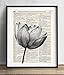 Lotus Flower Vintage Dictionary Art Print, Antique Wall Art Home Decor, Modern Boho Poster, Farmhouse Decoration Living Room Bedroom Office 8x10 Inches, Ready To Frame