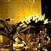 LALAPAO M5 Battery Operated String Lights 100 LED Clear Mini Christmas Lighting Decor Timer for Outdoor Indoor Garden Holiday Wedding Decorations (Warm White)