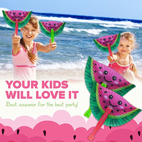 M & M Products Online 24-Pack Watermelon Paper Fans